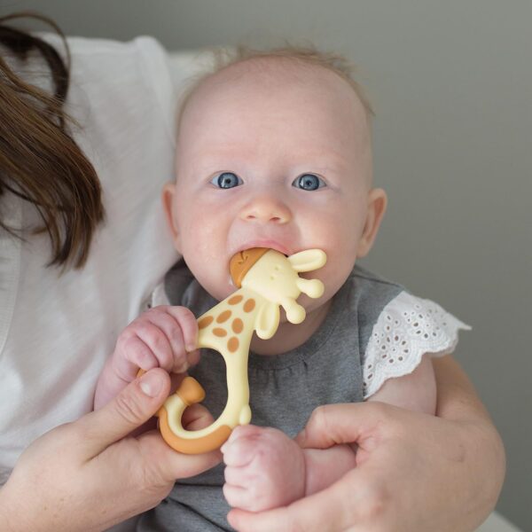 Dr. Brown's Ridgees Giraffe, Massaging Baby Teether, Designed by a Pediatric Dentist, BPA Free, 3m+ - Image 4