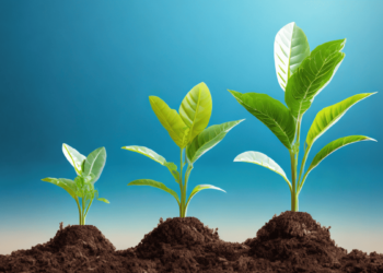 What’s the preferrred chief buyer officer job description?