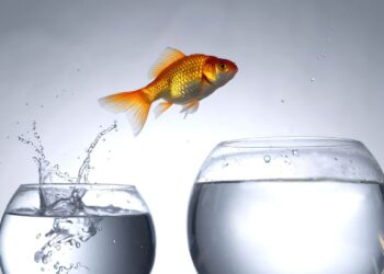 Buyer success beneath the CRO: the challenges for CS leaders.