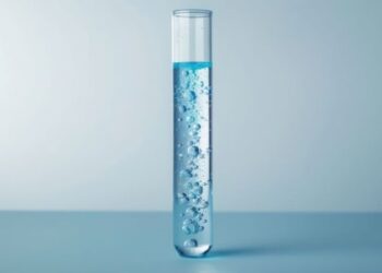 Tips on how to construct a digital buyer success proof of idea