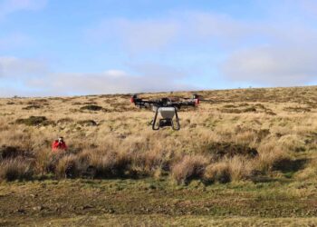 Drone tree-seeding trial may ‘revolutionise’ the growth of rainforests say exponents