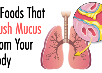 10 Meals That Eradicate Mucus from Your Physique