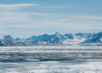 What I Discovered From Touring to Each Polar Areas