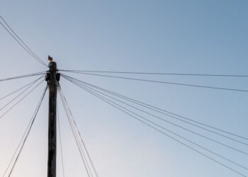 Tips on how to flip SaaS implementation insights right into a strategic asset.  