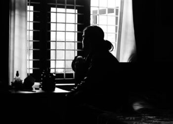 Unraveling the Anxious Coronary heart: A Complete Information to Attachment, Progress, and Connection