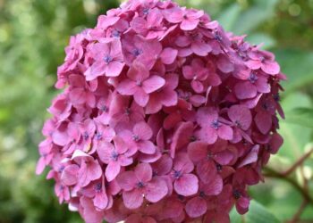 From Self-Care to Altruism: Mastering the Energy of Compassion