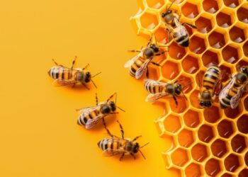 The best way to construct a digital buyer group and maximize its influence.