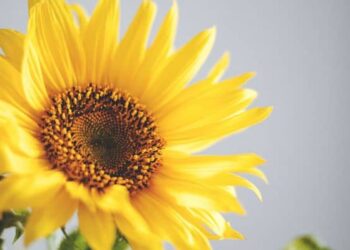 100 Easter Captions for a Constructive, Enjoyable and Comfortable Vacation (and Your Instagram)