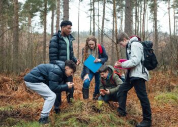 Rewilding the curriculum: pure historical past GCSE to be launched within the UK
