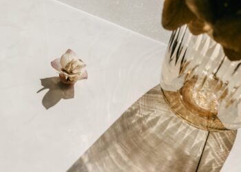 Why Life Feels So Sophisticated (and Easy methods to Simplify It)