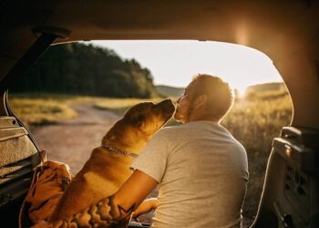 29 Values In Life (To Assure Happiness and Success)