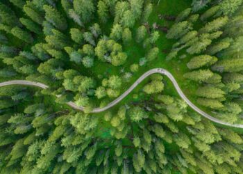 Selecting Your Minimalist Path