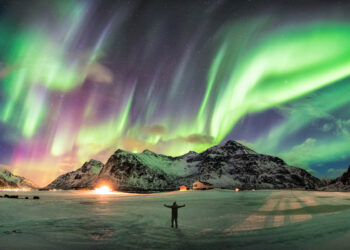 Noctourism Is the Prime Journey Development of 2025