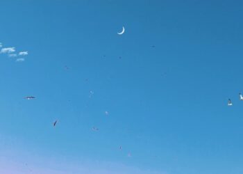 What’s Constructive Psychology? A refresher.