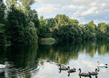 Methods to Discover Quiet in a Noisy World