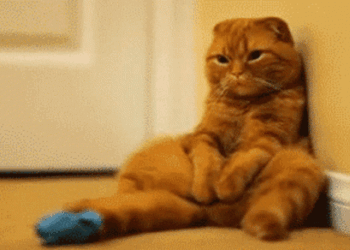 🚀7 NLP Hacks to Obliterate Self-Doubt and Step into Your Final Potential · neurohackingly