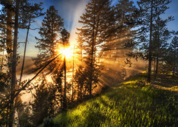 10 Laborious Realities that Will Assist You Develop (If You Settle for Them)