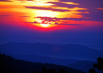 52 Good Morning Quotes to Carry You Day by day Peace and Readability