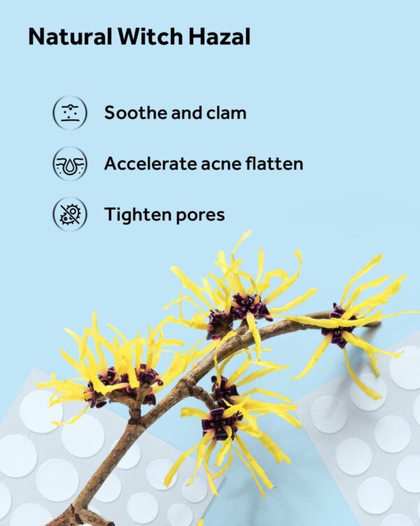 LitBear Acne Pimple Patches- Day and Night 4 Sizes 180 Dots Thin & Thick Hydrocolloid Patches with Witch Hazel, Tea Tree & Calendula Oil, Extra Adhesion for Face Zit Patch Dots - Image 7