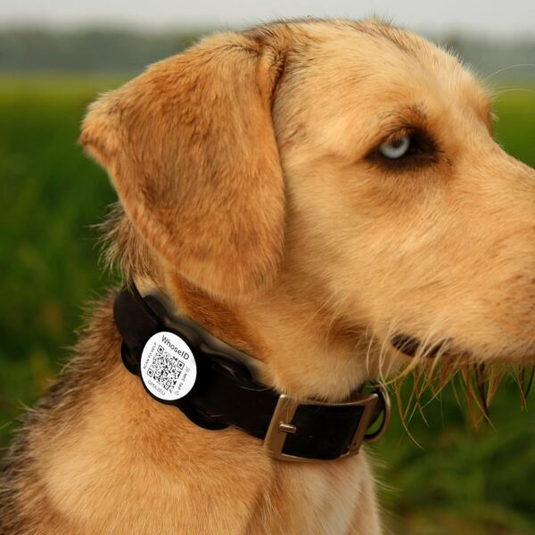 QR Code Dog Tag with NFC - Personalized Silicone ID Tag, Modifiable Online Profile, Multiple Emergency Contacts, Scan QR Code for Pet GPS Location (Small, Red) - Image 7