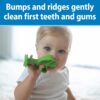 Dr. Brown's Peapod Teether + Training Toothbrush, Help Soothe Baby's Sore Gums, Soft 100% Silicone, BPA Free, 3m+ - Image 3
