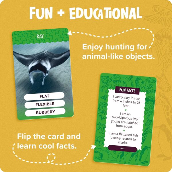 National Geographic - Outdoor Scavenger Hunt Card Game for Kids 4 & Up - Fun Summer & Outside Activity - Gifts for Boys & Girls Ages 4, 5, 6, 7, 8, 9 - Image 4