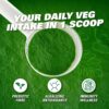 EHP Labs OxyGreens Super Greens Powder - Spirulina & Chlorella Superfood, Green Juice Powder & Greens Supplements with Prebiotic Fibre, Antioxidants & Immunity Support, 30 Serves (Strawb. Margarita) - Image 3