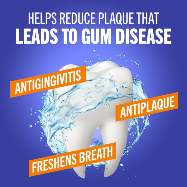 TheraBreath Healthy Gums Mouthwash Clean Mint, Antigingivitis, Dentist Formulated, 16 Fl Oz (2-Pack) - Image 3