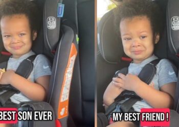 Dad Tells Toddler He’s His Finest Good friend and His Response Is Epic