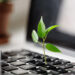 10 Methods to Cut back Your Digital Carbon Footprint