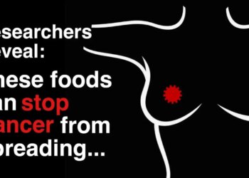 Meals That Cease Most cancers and Decrease Threat: What the Science Says