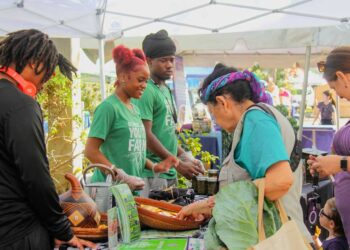 Useful Life Abilities Discovered on the St. Pete Youth Farm