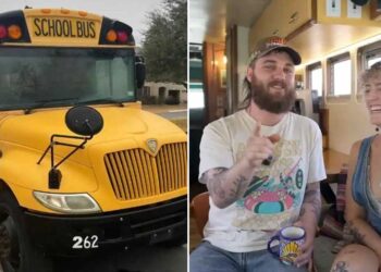 Couple created an attractive off-grid retreat from an old-fashioned bus