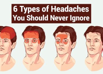 When to Search Rapid Assist