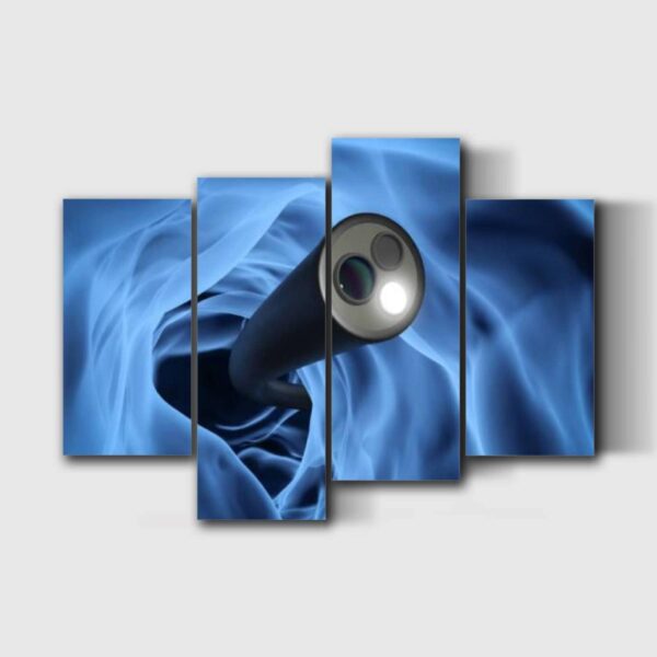 UJOYAFZSIM Anatomy Organs Artwork Colonoscopy technology Canvas Wall Art Prints for Medical Clinic Office Health Center Unique Gift for Doctor Nurse Med School Student
