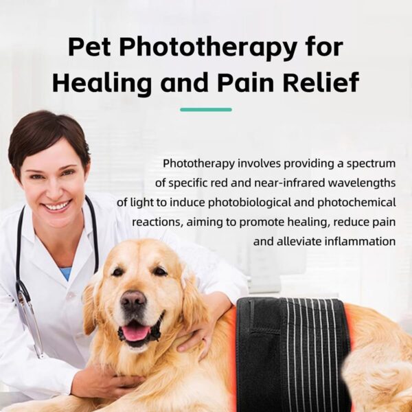 MANON ROSA Red Infrared Light Therapy Belt Pets: Portable Wearable Device for Tissue Repair Relieving Sciatica Joint Back Pain in Small Medium Large Dogs Cats (Medium,120 Lamp Beads) - Image 2
