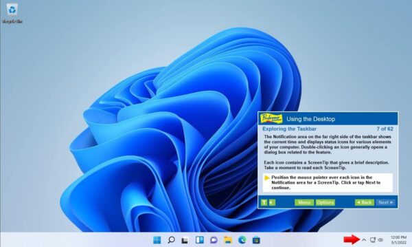 Professor Teaches Office 2021/365 & Windows 11 with Skill Assessment & 6 Courses - Interactive Training for Word, Excel, PowerPoint, Outlook, Access, Publisher & More! - CD/DVD - Image 4