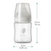 Evenflo Feeding Premium Proflo Venting Balance Plus Wide Neck Baby, Newborn and Infant Bottles - Developed by Pediatric Feeding Specialists - 5 Ounce (Pack of 6) - Image 9