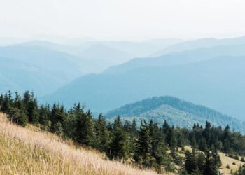 16 Greatest Aspect Hustles for Retirees