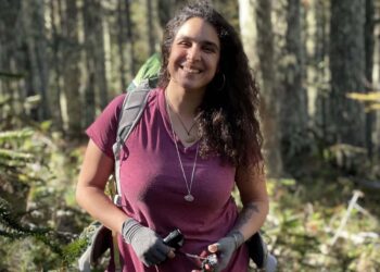 Rights of the wild: three extra tasks working to guard nature’s silent residents