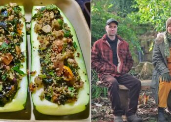 Off-Grid Homestead The place Couple Grows 80% of Their Meals