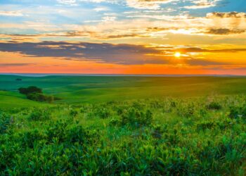 17 Greatest Rural Facet Hustles To Make Further Cash