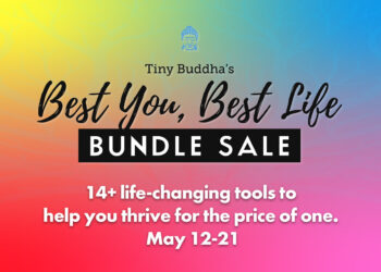 10 Days Solely—14+ Life-Altering Instruments for the Worth of One!