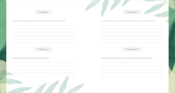 The First-Time Mom's Pregnancy Journal: Monthly Checklists, Activities, & Journal Prompts - Image 6