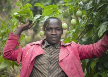 Co-operative enterprise: a recipe for resilience in turbulent occasions