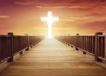 10 Bible Verses That Illuminate God’s Steerage in Your Life |