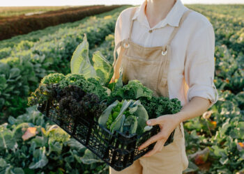 Analysis Suggests Pesticides Could Be Linked To Parkinson’s