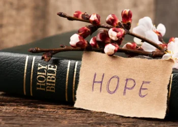 25 Highly effective Scriptures to Renew Your Hope and Braveness |