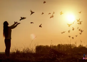 Quiet However Highly effective Indicators Your Religion Is Rising |