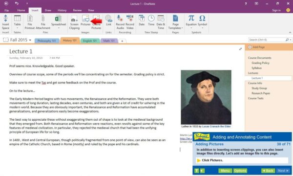 Individual Software PROFESSOR TEACHES OFFICE 2016 - Image 3